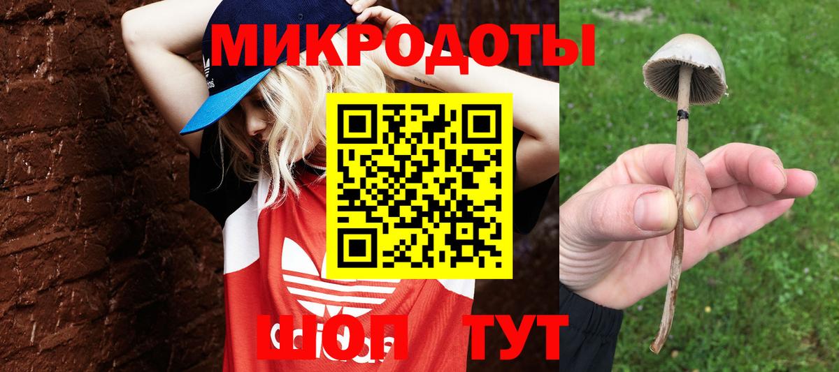 Псилоцибиновые грибы мухоморы Губкинский