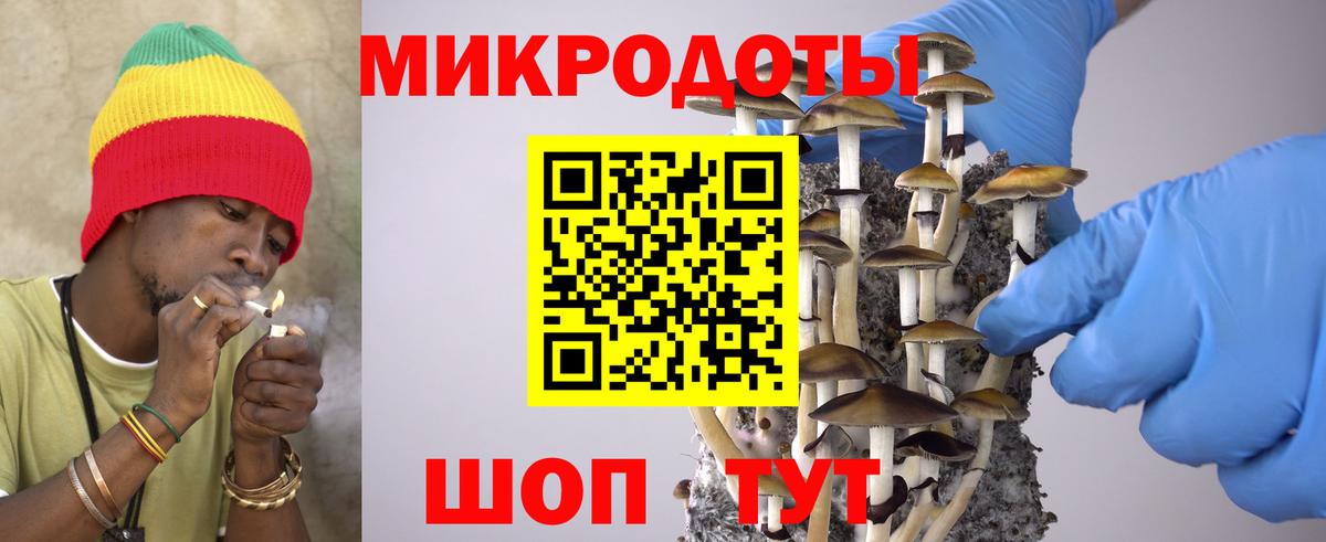 Губкинский  Псилоцибиновые грибы Cubensis  Галлюциногенные грибы Psilocybine cubensis  Вход с VPN 